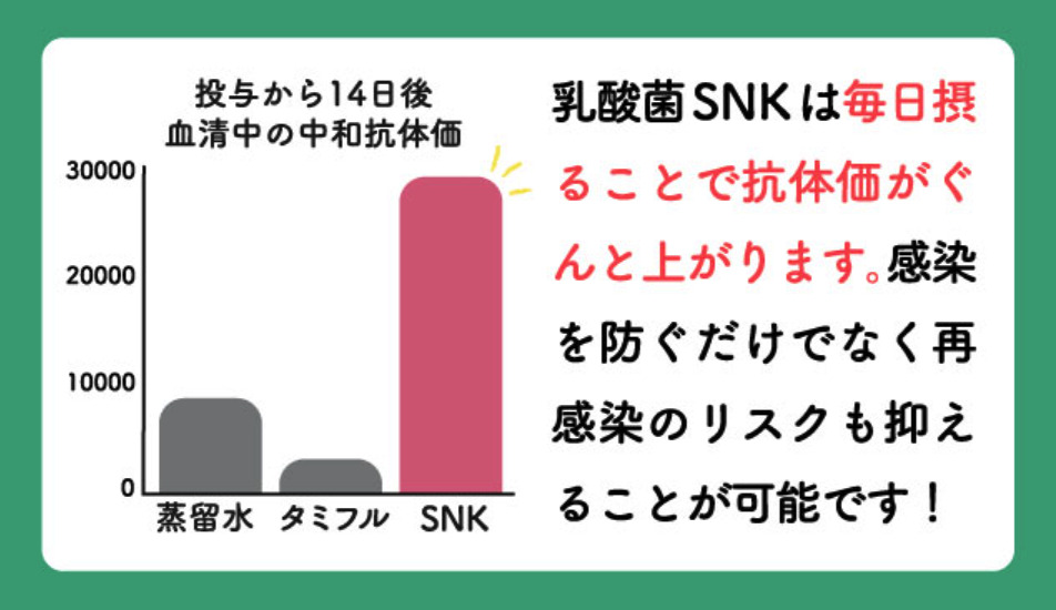 すくっとの乳酸菌効果